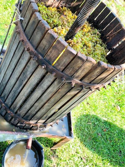 La-Marti, Idyllische Unterkunft Mit Kamin Bagdati المظهر الخارجي الصورة